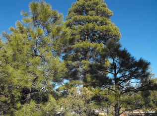 1630 Oak Leaf Dr, Happy Jack, AZ 86024