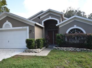 2717 Brookville Dr, Valrico, FL 33596