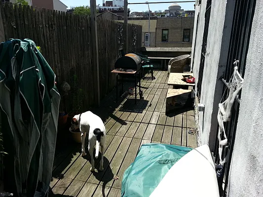 Rented by Alta Real Estate | media 11