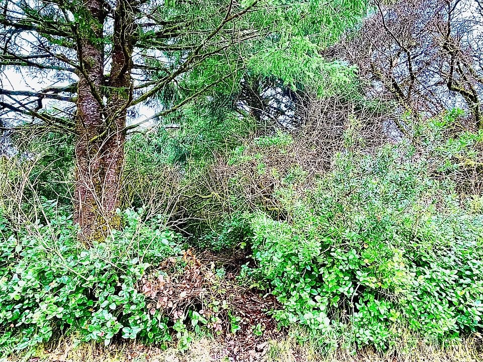 2nd image of 184 S Port Loop SW
