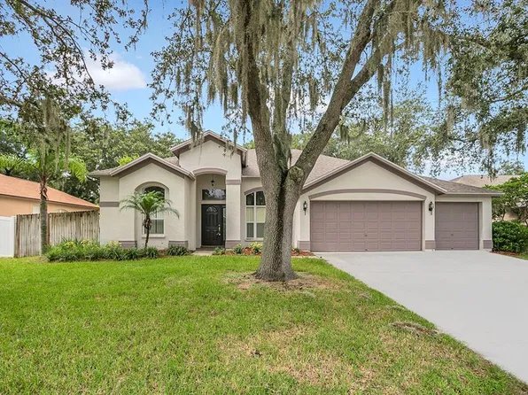 4008 Canter Ct, Valrico, FL 33596