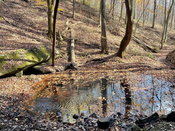 3015 Poplarville Rd, Somerset, KY 42501