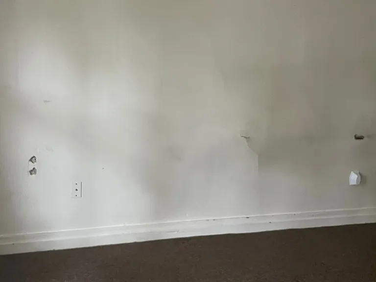 343 E Orange St — Photo 7