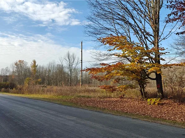 325 White Rd Lot 5, Parish, NY 13131