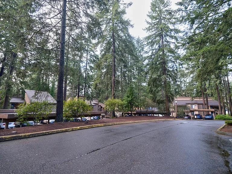 Tree-lined living