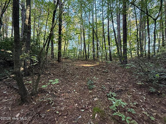 4th image of 00 Rocky Creek Road