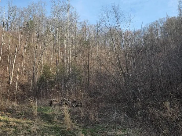 Tbd Tiger Creek Rd, Roan Mountain, TN 37687