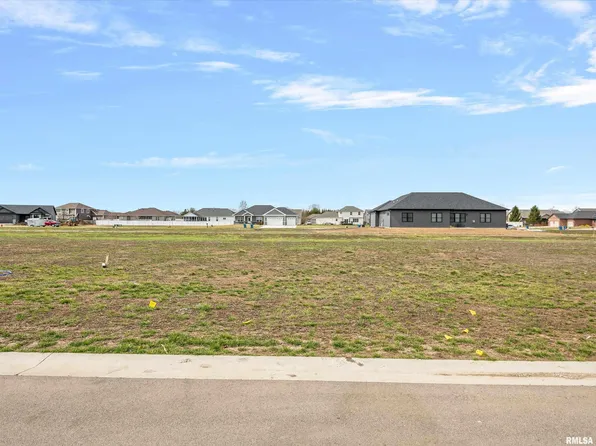 413 Manor Hill Dr, Chatham, IL 62629