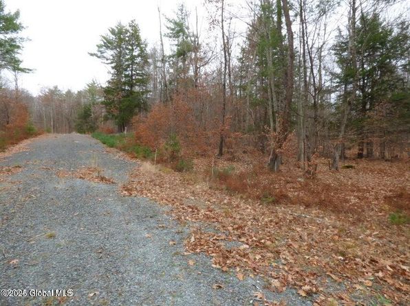 L 2.19 Jasmine Road, Stephentown, NY 12168