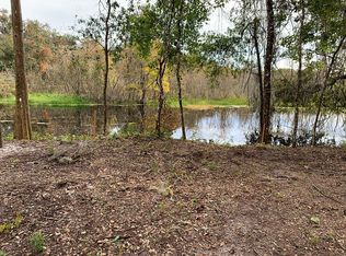 10670 E Gobbler Dr, Floral City, FL 34436
