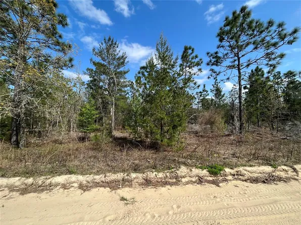 Erie Ave Lot 17, Interlachen, FL 32148