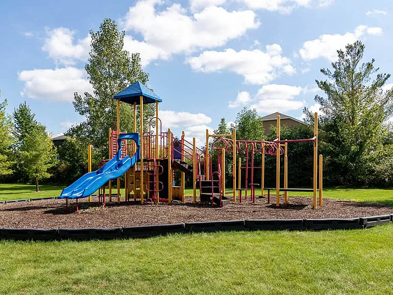 Our Colorful Playground