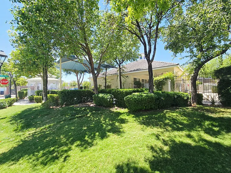 8295 Golden Flowers St — Photo 31