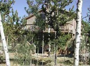 435 Foxtail Ln, Fairplay, CO 80440