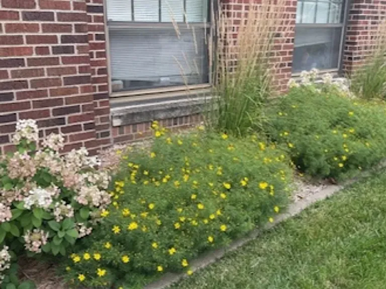 The Brady Apartments — Photo 40