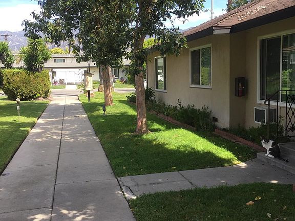 Well kept walkway to the carport and laundry.