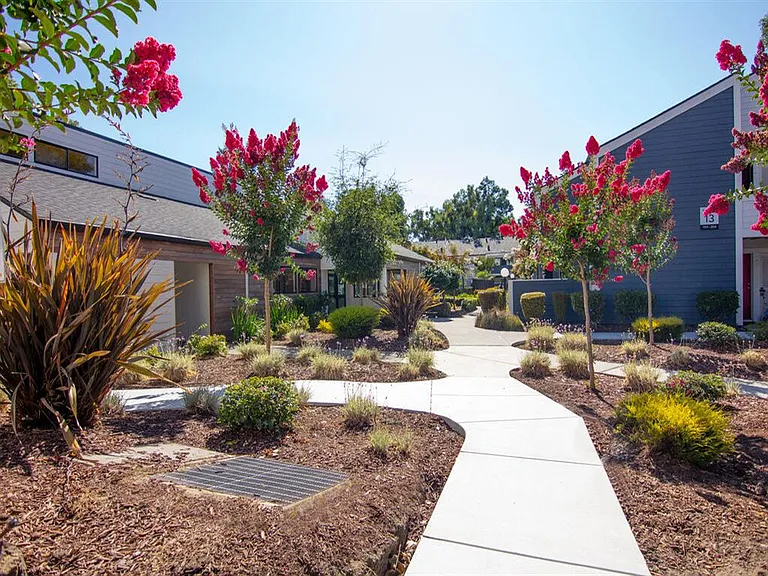 Parc Medallion Apartments — Photo 17
