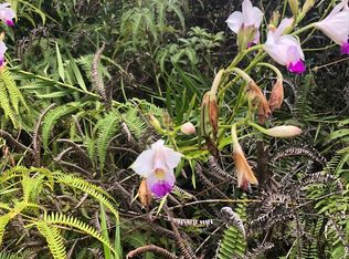 Ginger Rd LOT 266, Pahoa, HI 96778