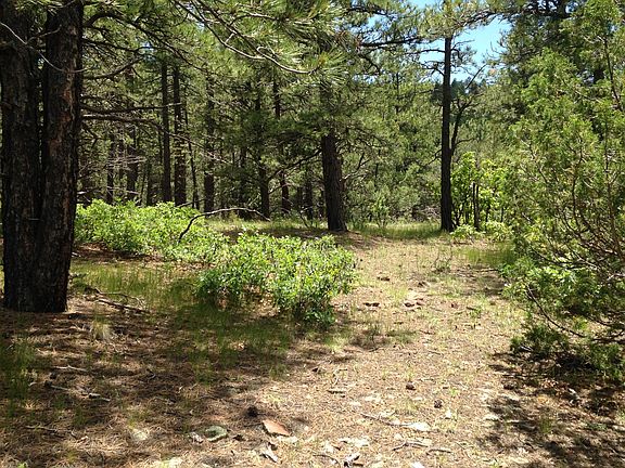 5th image of 42 Coyote Tract Trce E