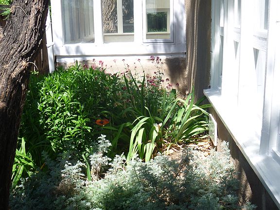sunroom and garden