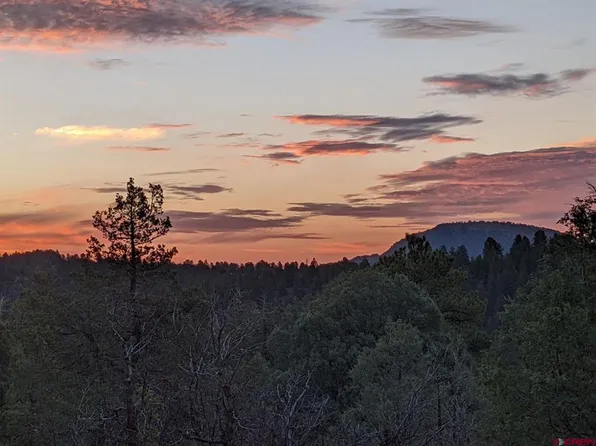 285 Logging Trail Road, Durango, CO 81303