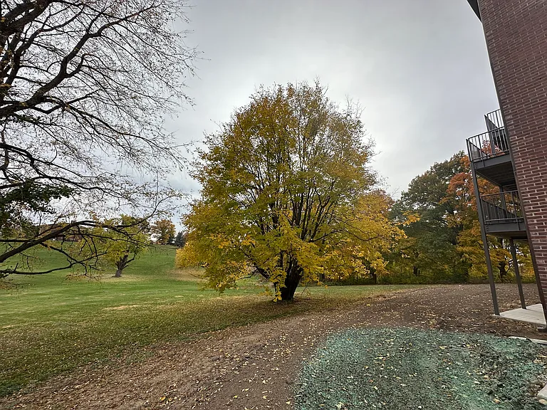 Shimer Square — Photo 37