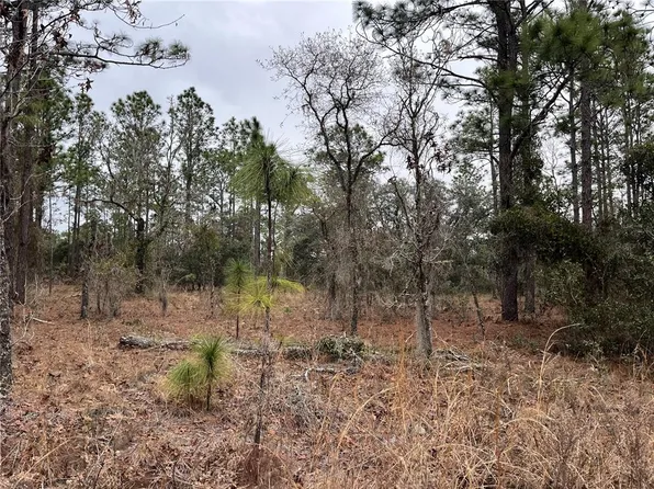Lot 57 NW SKYLARK STREET LOT 57, DUNNELLON, FL 34431