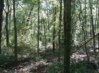 486 NE Park Ave, Mayo, FL 32066