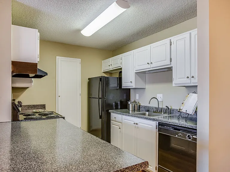 Bliss Renovated Kitchen