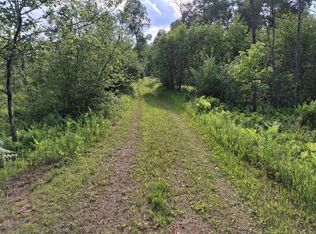 6897 Riverside Rd, Evart, MI 49631