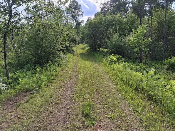 6897 Riverside Rd, Evart, MI 49631