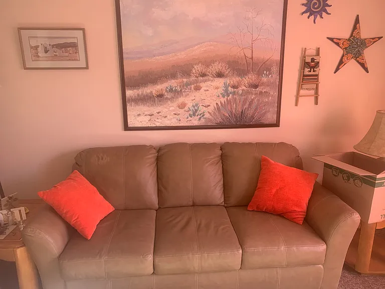 919 W Rio Altar — Photo 10