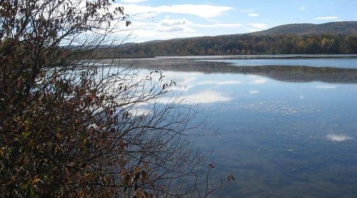 Lakeside