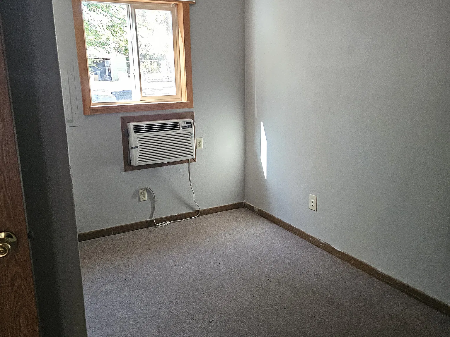 1 bed, $900 — Photo 4