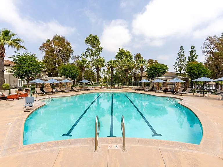 Expansive Outdoor Pool Area with Lap Lanes, Seating, and Shade Umbrellas