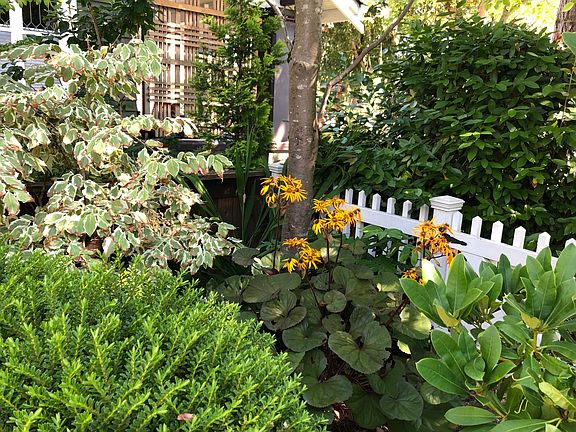 The corner of the front garden was taken last summer.