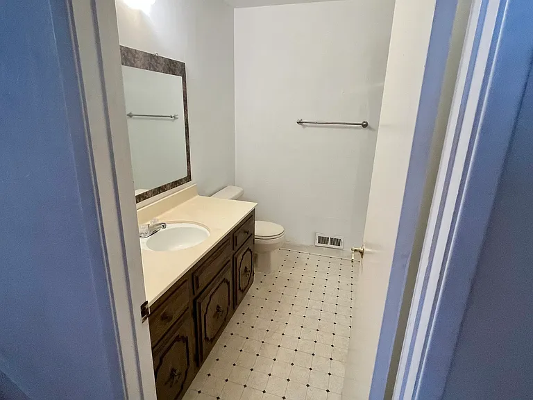 Hall bathroom includes ample counter space and an oversized mirror.