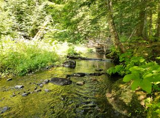 6 Dirty Glove Rd, Springfield, ME 04487