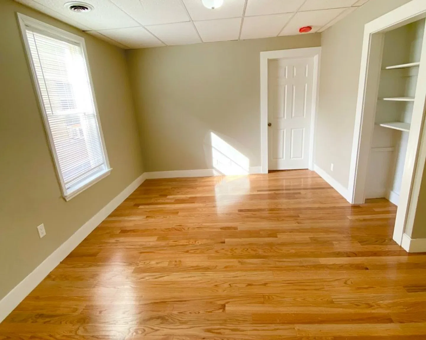 1 bed, 750 sqft, $2,000 — Photo 3