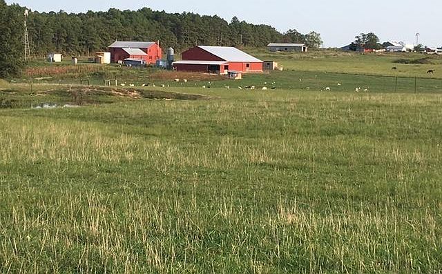 1st image of 31591 County Road 385