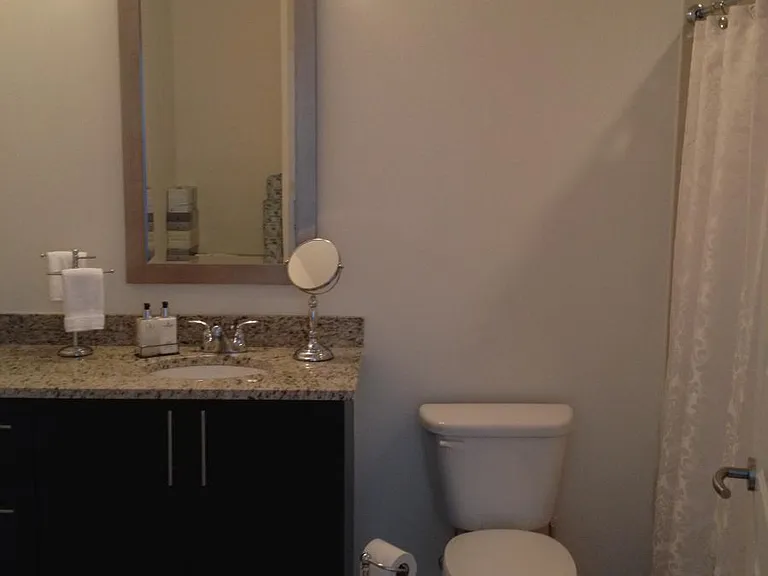 1080 Peachtree St NE #1415FURNISHED — Photo 29