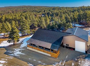 23998 Deer Trl, Aguilar, CO 81020