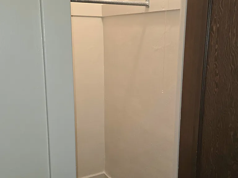 Living Room Closet