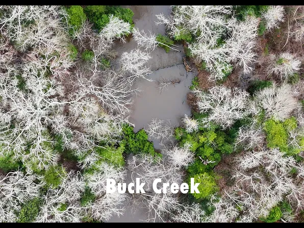 0 Taylor Cemetery Rd, Ellaville, GA 31806