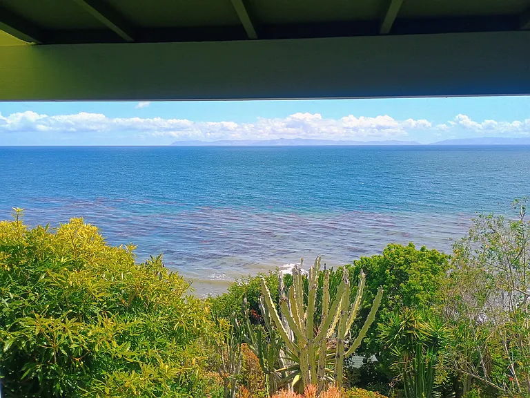 The View