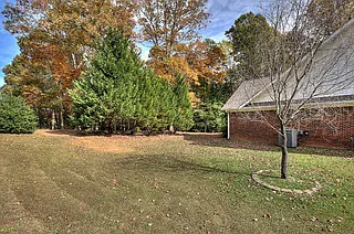 backyard 2_04272026