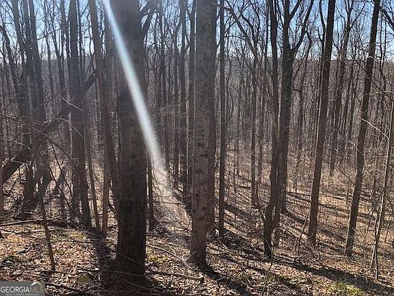 4th image of 0 Highlands Pkwy Lot 45
