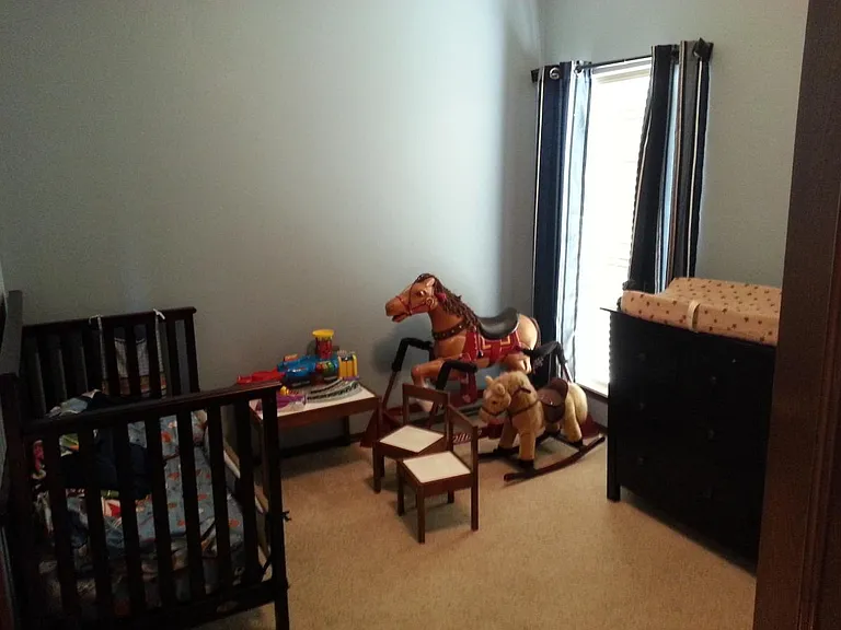 3217 Ash Grove Rd — Photo 23