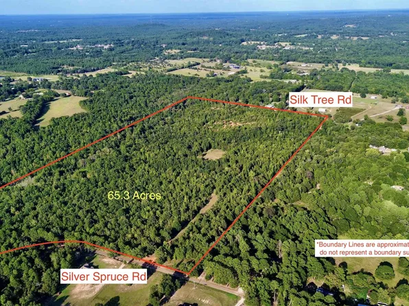Tbd Silver Spruce Rd, Gilmer, TX 75645