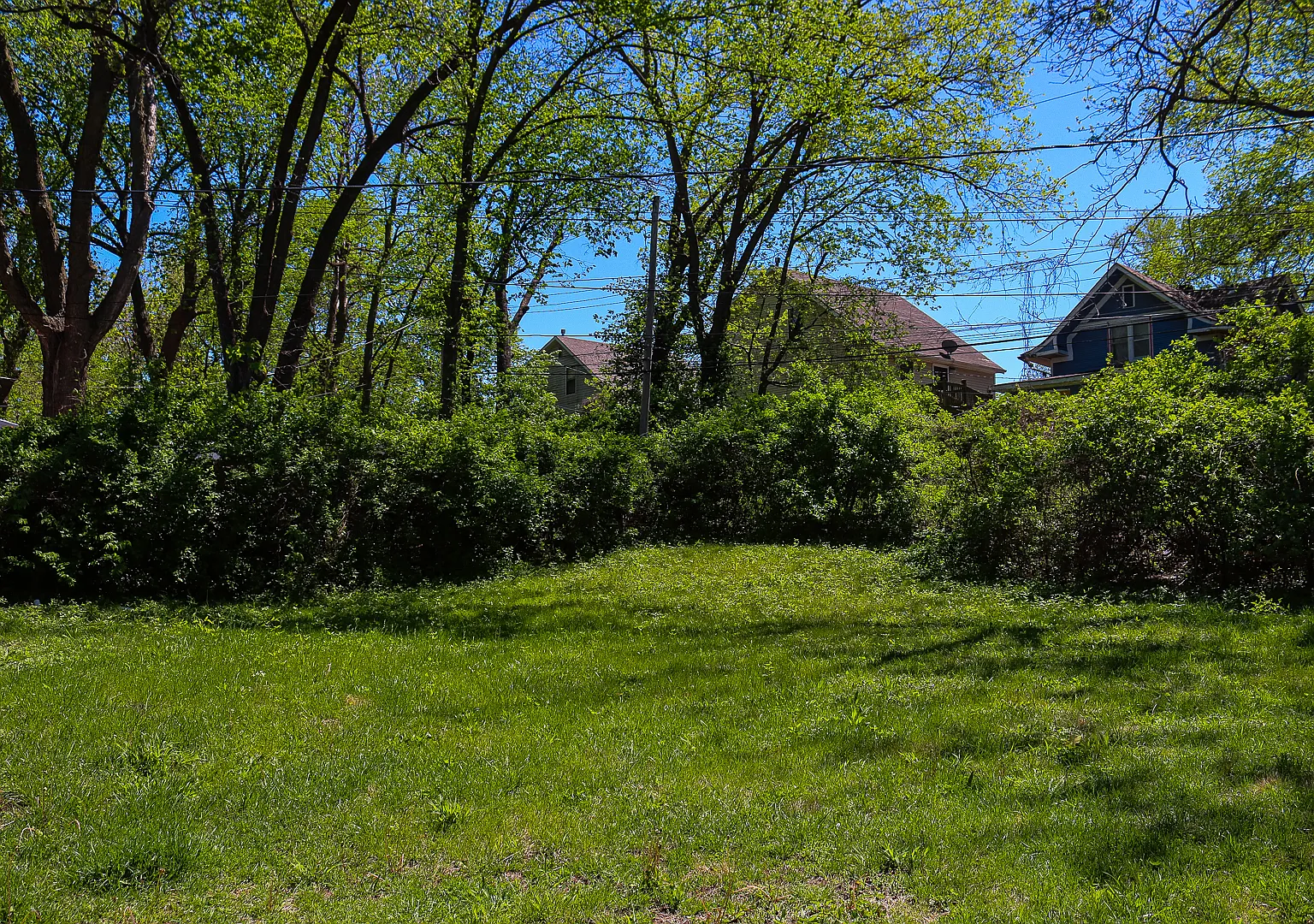 3 bed, 1006 sqft, $1,500 — Photo 3